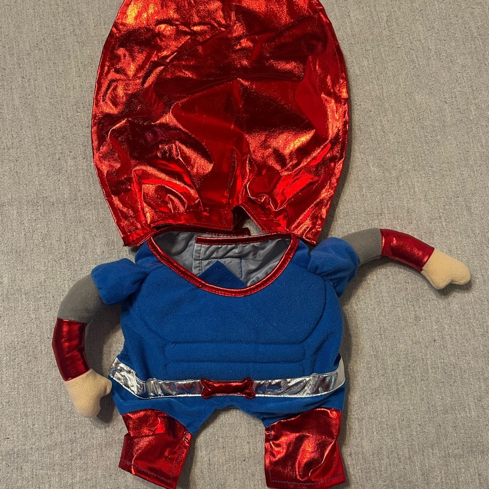 Small dog Superman costume